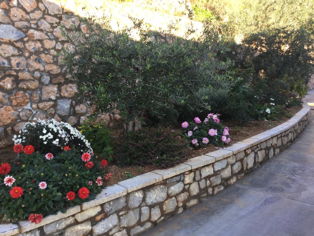 Apartament Petra Thea